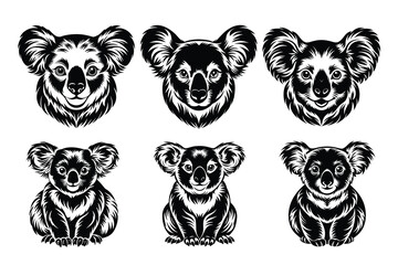 Beautiful and playful Koala