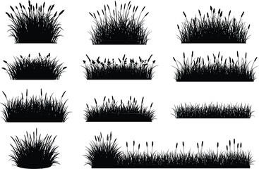 A collection of various grass silhouettes, perfect for landscaping, gardening designs, botanical illustrations, wildflowers, nature art, eco-friendly garden projects, and outdoor decoration.