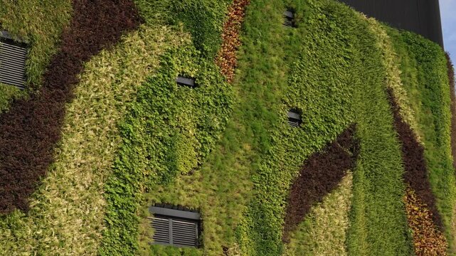 Vibrant green moss covering an old stone wall surface.