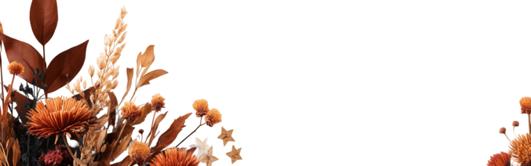 Dried Flower Arrangement on Black Background