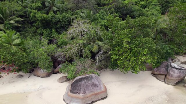 Drone footage of cap ternay beach, near granite stone and trees at low tide, Mahe, Seychelles 30fps 7