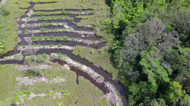 Drone footage of cap ternay mangrove, beautiful landscape, untouched nature, Mahe Seychelles 30fps 5
