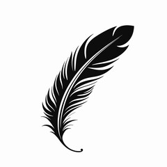 Fototapeta premium Elegant detailed bird feather with black and white color scheme silhouette