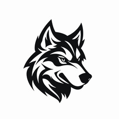 Fototapeta premium Intense monochrome wolf head with detailed fur texture, creating a powerful silhouette