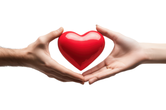 Couple holding a shiny red heart symbolizing love and connection in a tender moment of unity