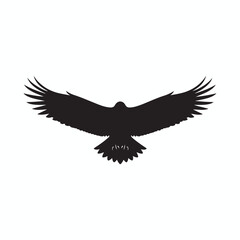 Obraz premium soaring eagle or hawk wings open vector.