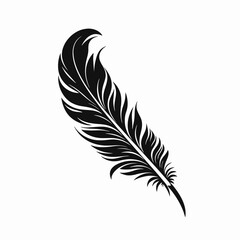 Elegant feather isolated against white background creates an artistic beautiful silhouette