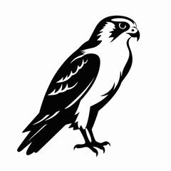 Fototapeta premium Striking osprey stands tall showing black and white detailed design silhouette