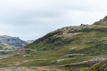 Rolling hills adorned with patches of snow contrast with vibrant green vegetation. The overcast sky adds a mystical quality to the tranquil landscape, creating a peaceful atmosphere.