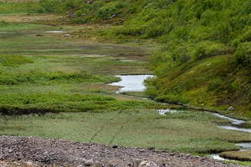 A tranquil river meanders through vibrant green vegetation and rolling hills, showcasing the untouched beauty of Norway's landscape in summer. The scene is peaceful and invites exploration.