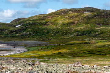 A vast expanse of green vegetation stretches across rugged terrain, with patches of rocks and shrubbery. The landscape is illuminated by bright skies, creating a serene atmosphere.