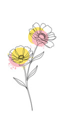 Delicate line art flowers with soft watercolor splashes for a touch of nature's beauty