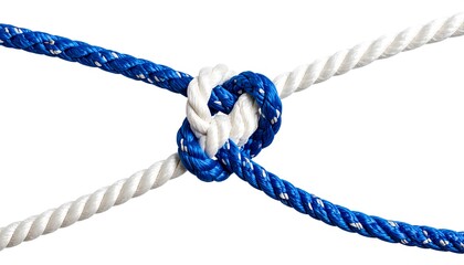 Two ropes tied in a knot against a white background