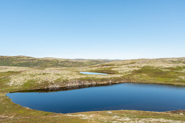 Fototapeta premium Rolling hills covered in vibrant green vegetation surround tranquil lakes under a blue sky. Serene landscape evokes a sense of peace and connection to nature. Kola Peninsula, Murmansk, Teriberka