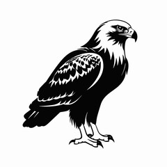 Obraz premium Majestic eagle standing proudly depicted in bold, striking black silhouette