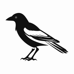 Obraz premium Striking minimalist magpie image, avian vector art in stark black silhouette