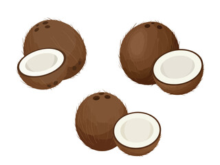 Whole coconut and half coconut showing white flesh flat vector illustration