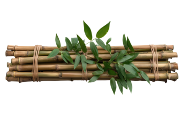 Natural bamboo cane bundle with fresh leaves isolated on white background showcasing organic textures and earthy tones