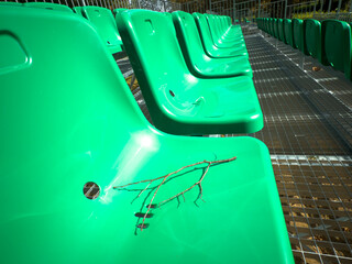 Obraz premium Closeup of green plastic stadium seats on outdoor bleachers with small dry twig lying on chair, empty audience seating in park.