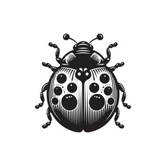 Ladybug Vector (3).eps