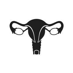 Female reproductive system anatomical illustration