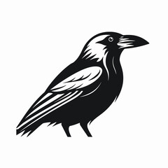 Obraz premium Striking raven vector art with bold design and black bird silhouette