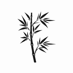 Obraz premium Elegant bamboo stalk with leaves against white backdrop beautiful artistic silhouette