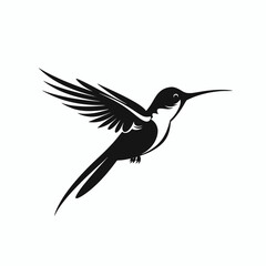 Obraz premium Elegant hummingbird art beautifully captures nature's charm in a vector silhouette
