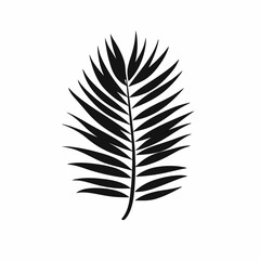 Fototapeta premium Exotic tropical palm frond in simplistic minimalist black botanical leaf silhouette