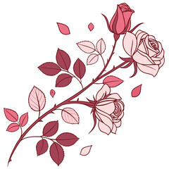 Delicate pink roses with leaves and falling petals on a white background vector illustration