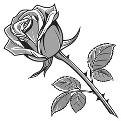 Elegant grayscale illustration of a single rose with leaves and thorns on a white background