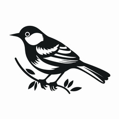 Obraz premium Black and white bird perching elegantly on a branch silhouette