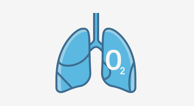 Human Lungs Illustration for Medical Education and Respiratory Health Awareness Campaigns, Suitable for Educational Materials and Healthcare Promotion.