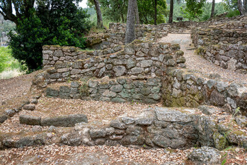 A Path Covered in Dry Leaves Through an Ancient Site. Concept The atmosphere of a historical place.