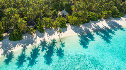 Picturesque aerial paradise island beach amazing tropical nature landscape sunny ocean palm trees shadows soft sand tranquil sea. Best gorgeous summer vacation travel background. Inspire nature © icemanphotos