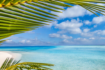 Naklejka premium Tranquil tropical palm leaf over calm turquoise sea horizon sky clouds idyllic summer vacation stunning background exotic beach paradise scenic coastal landscape sunny serene tropical island getaway