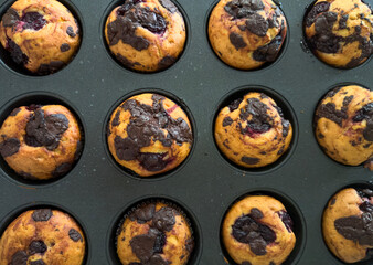 Freshly baked chocolate chip and berry muffins in baking tray