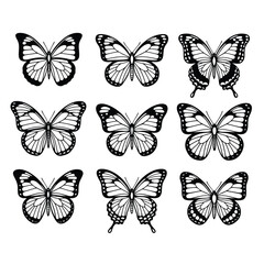 Vector illustration of collection of butterfly illustrations in black and white