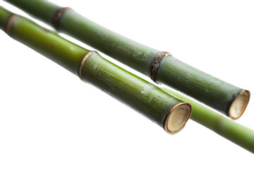Fototapeta premium Bamboo stalks with transparent background highlighting natural beauty and texture in a detailed close-up shot for design and decor inspiration