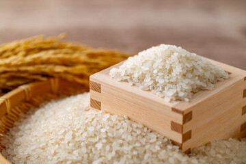 Japanese Rice in a Masu Box

A close-up of Japanese white rice in a traditional wooden masu box, with golden rice stalks in the background. This image captures the freshness and tradition of Japanese 