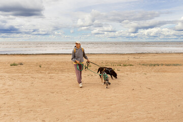 professional dog walker. person walks two pets on beach by sea. dogs on leashes, woman is wearing hat. Pet training with dog handler, dog sitter. animals in nature. shelter, dog walking volunteer.