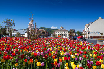 Rynek w Muszynie po renowacji w piękny, wiosenny dzień. © rogozinski