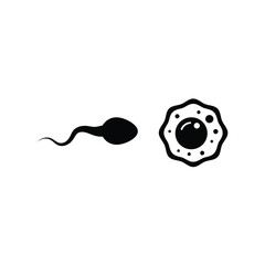 Sperm approaching egg fertilization biology