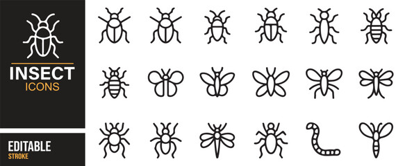 Bug and insect vector illustrations – outline icons for wildlife and science