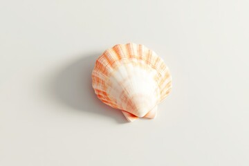 Scallop shell marine life concept for coastal decor and design