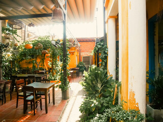 Warm, sun-kissed yellow iconic wall of narrow alleys converted heritage homes in Hoi An cafe with red-tiled floor, hanging plants, rattan lights. Wooden tables, garden-style dining space