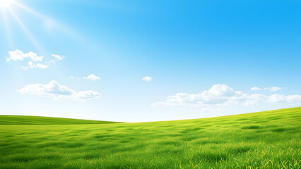 Landscape view of green grass field with bright blue sky background.