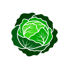 Fresh green cabbage isolated for healthy eating and cooking transparent background