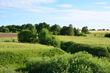 Green hills and Trees Under a Blue Sky