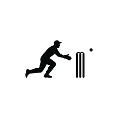 Cricket player catching ball near wickets vector